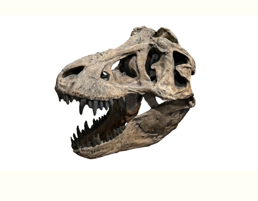 Polycam - 3D Bilderfassung scannen Photogrammetrie - Künstliche Intelligenz 2